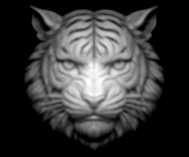 Tiger Head
