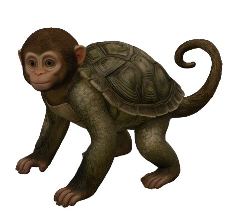 Money Turtle